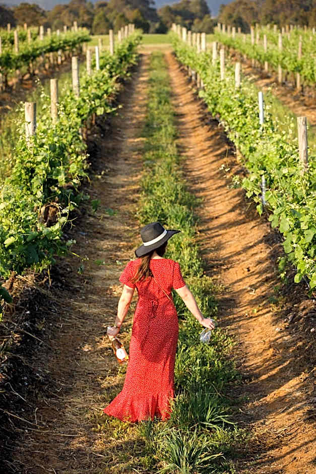 Bimbadgen Estate Vineyard