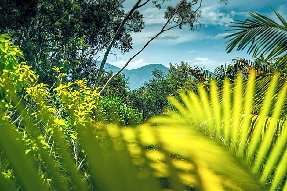 Bella Vista Bellingen