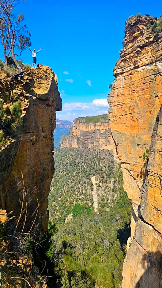 Flying Fox Backpackers