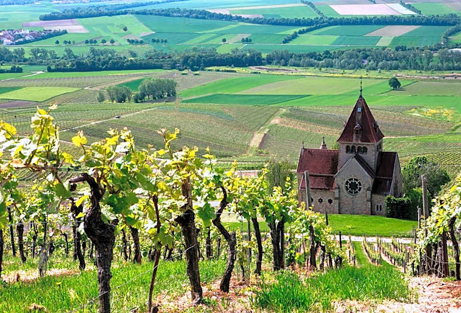 Hofgut Wißberg - Das Weinberghotel