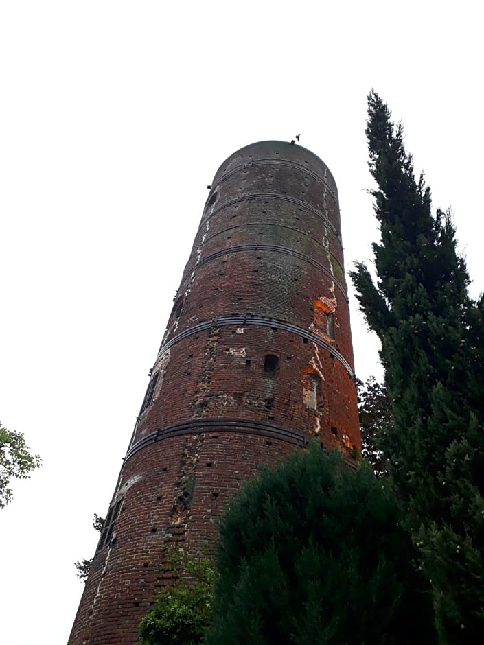 PocoBurro Ca' d'arte