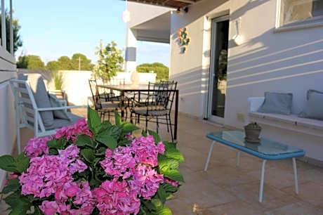 B&B Pinulà