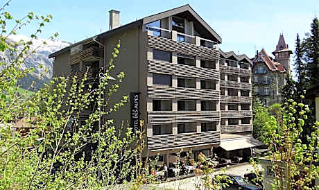 Hotel des Alpes
