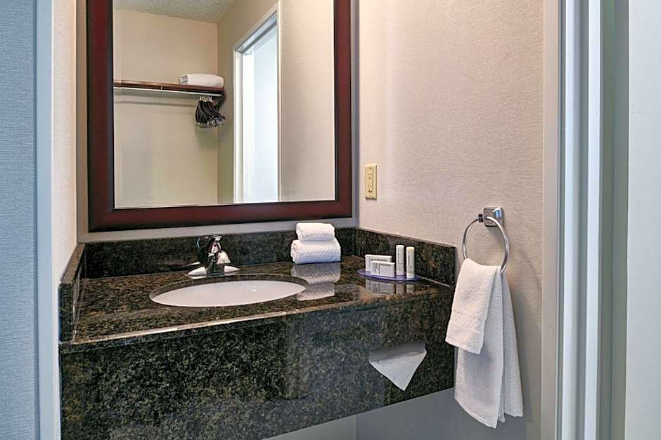 Fairfield Inn & Suites by Marriott Detroit Livonia