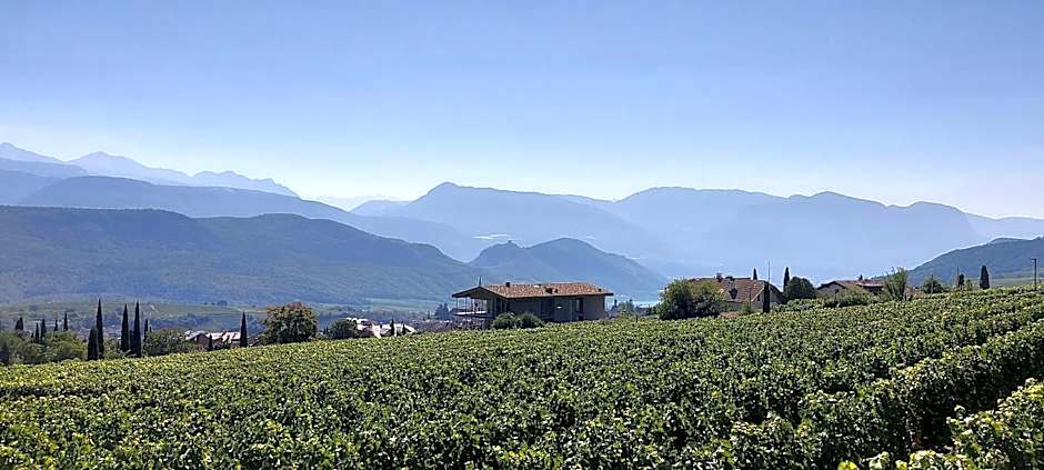 View - AgriSuites