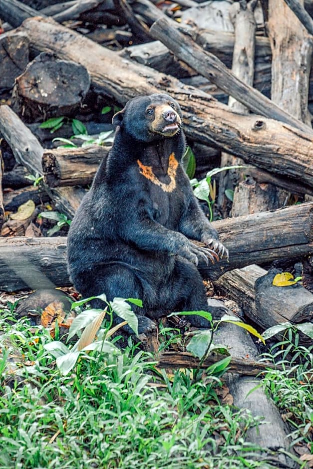 Four Points by Sheraton Balikpapan