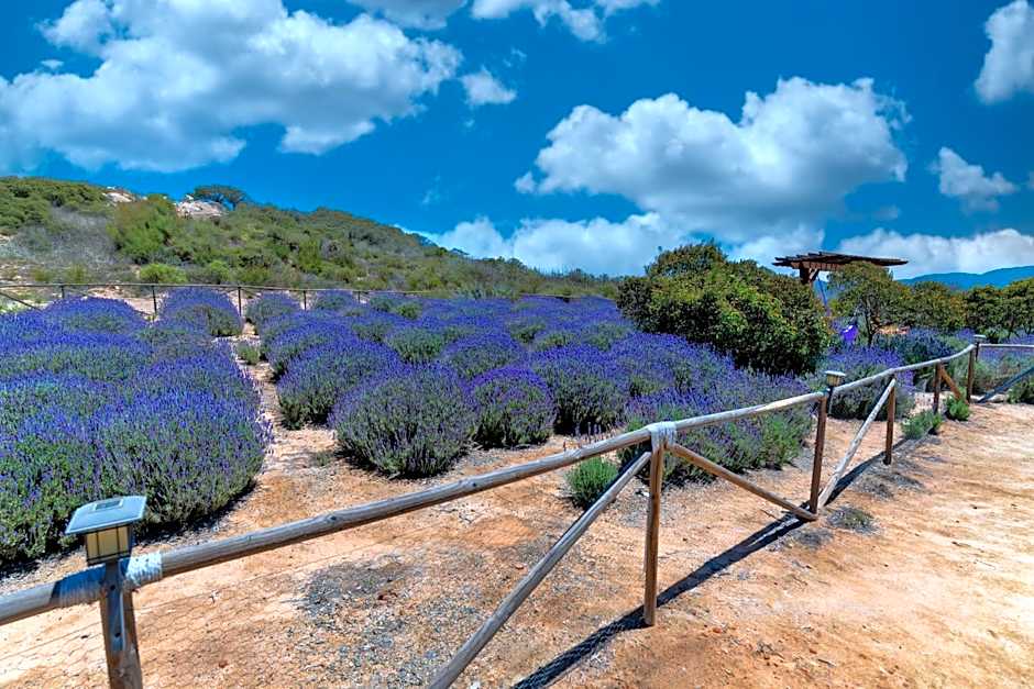 Brisa Del Valle Hotel Boutique