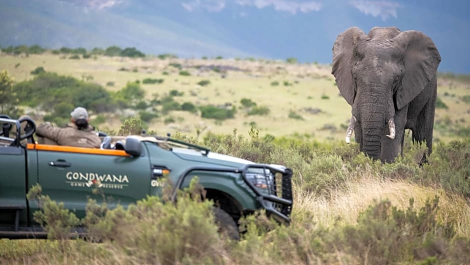 Gondwana Game Reserve