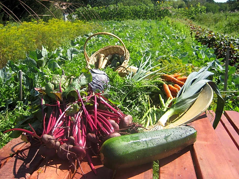 Folwark Na Półwyspie