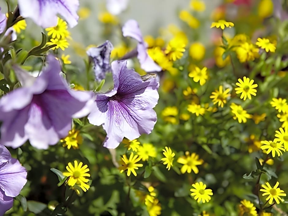 Norcroft Guest House