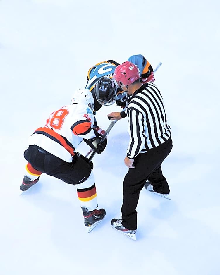 Crowne Plaza Hotel Glen Ellyn/Lombard By IHG