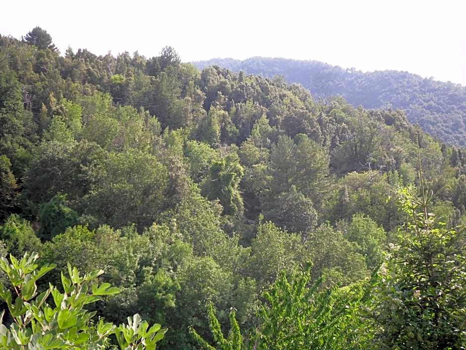 Chambre d'Hôtes La Marlotte