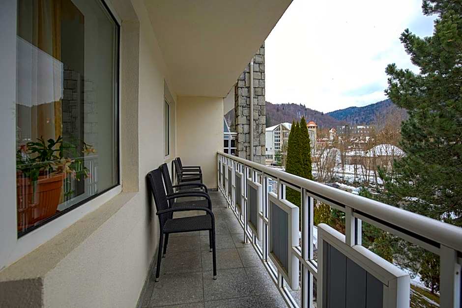 Hotel Alexandros Busteni