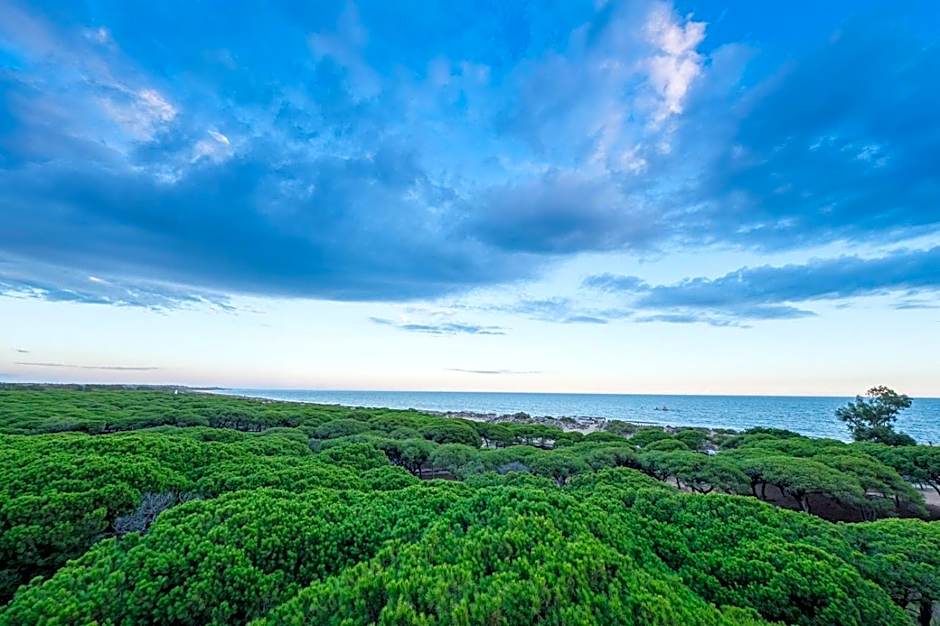 Estival Isla Cristina