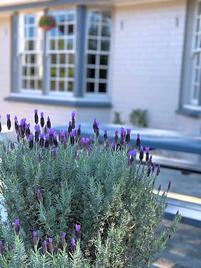 Colonial Terrace Motor Inn