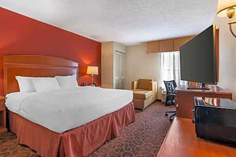 King Room - Pet Friendly/Non-Smoking