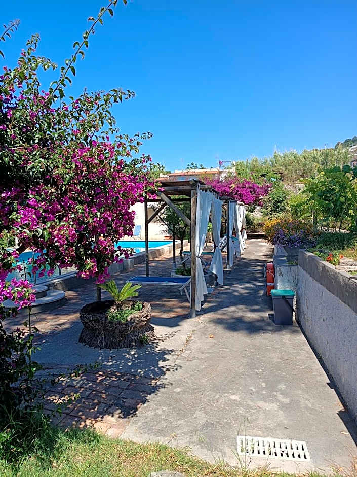 Villa Olivia Residence Ischia - nel Verde con Piscine e Vista Mare