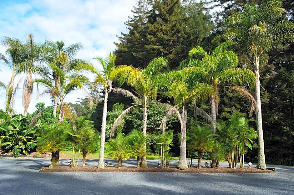 Woodlands Motel