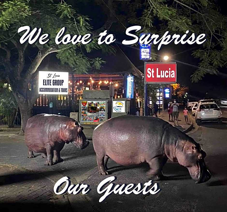 Ndiza Lodge and Cabanas