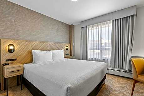 Standard Suite, 1 King Bed, Sofa Bed, Kitchenette