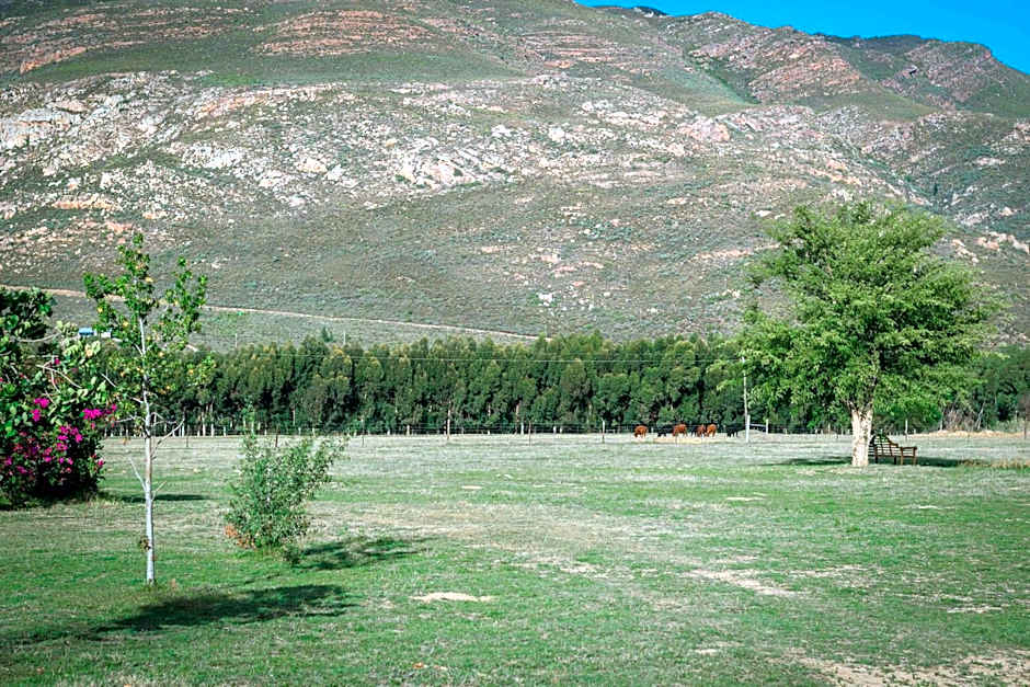 Le Rêve Boutique Hôtel