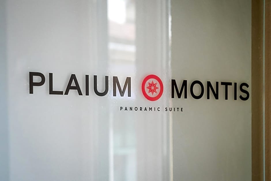 Plaium Montis
