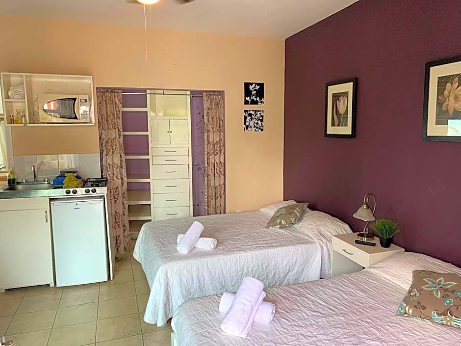 Satya Suites & Portal San Angel Flats
