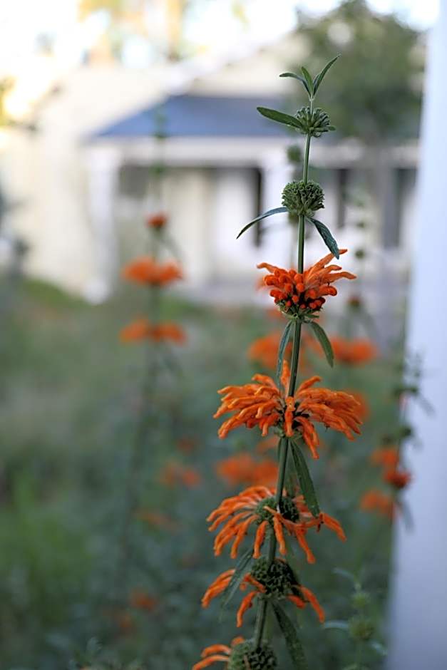 The Royal Fischer Hotel