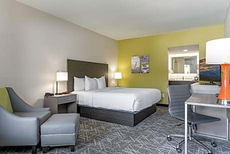 King Room - Non-Smoking/Pet-Friendly