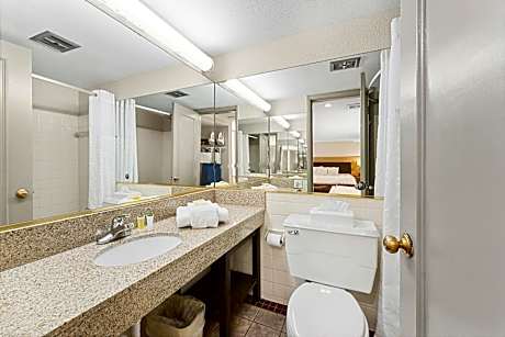 One-Bedroom King Suite - Non-Smoking