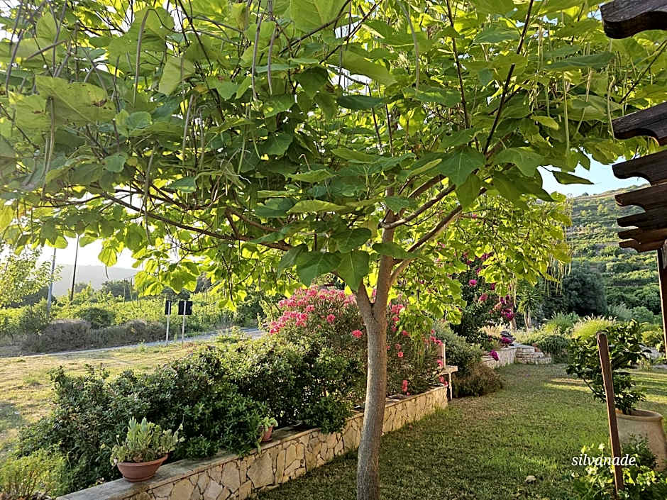 Il Castello di Modolo