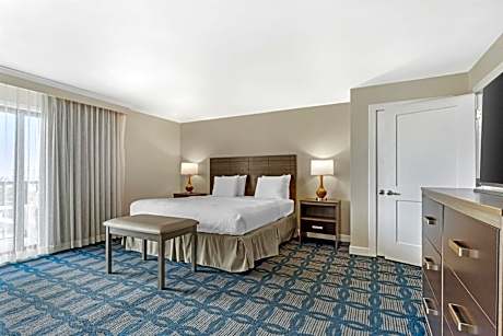 King Room with Walk-in Shower - Disability Access