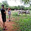 Kruger Inn Backpackers