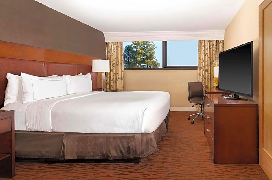 Hilton Orange County-Costa Mesa