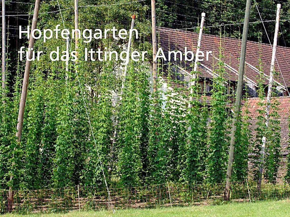 Kartause Ittingen