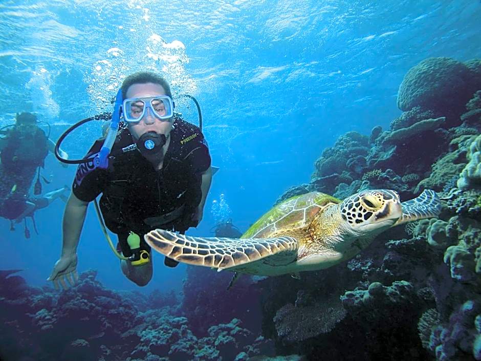 Silkari Reflections of Port Douglas