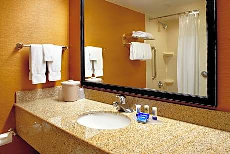 Suite, 1 King Bed with Sofa bed (1 King Bed and 1 Double Sofa Bed)