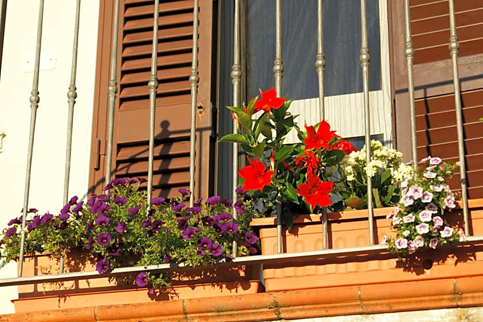 il Podere La Casina
