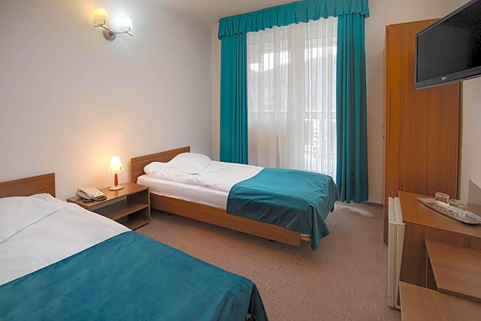 Hotel Alexandros Busteni