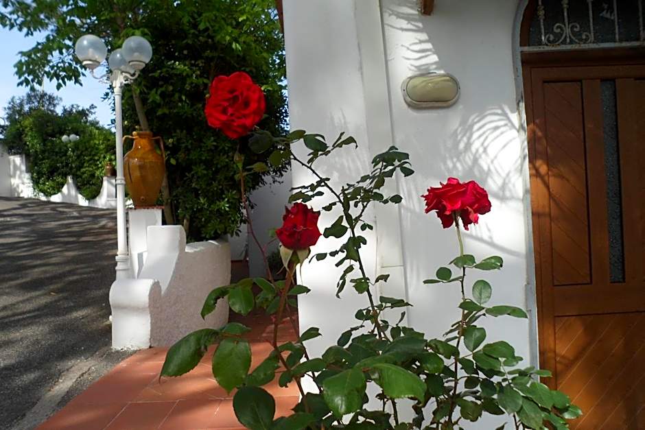 Hotel Park Calitto