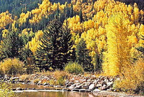 Vail Racquet Club Mountain Resort