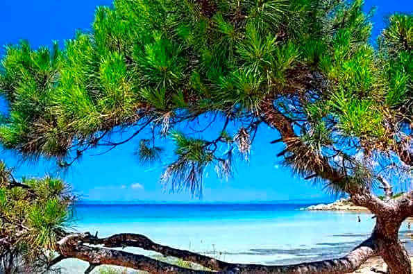 Apartmenthotel Sithon