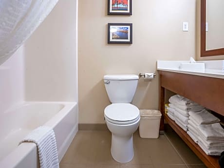 1 King Bed, Nonsmoking