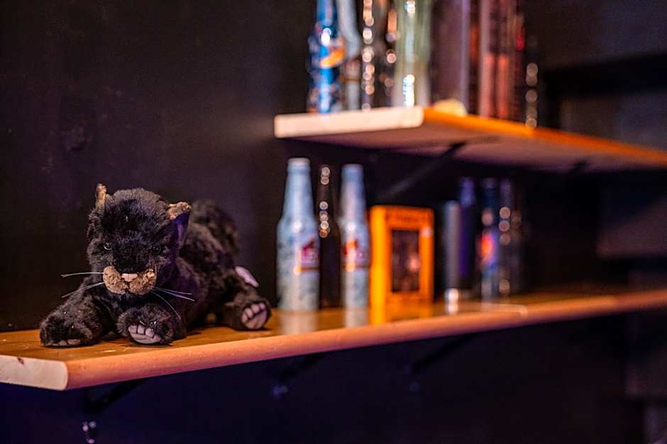 Black Panther Hostel