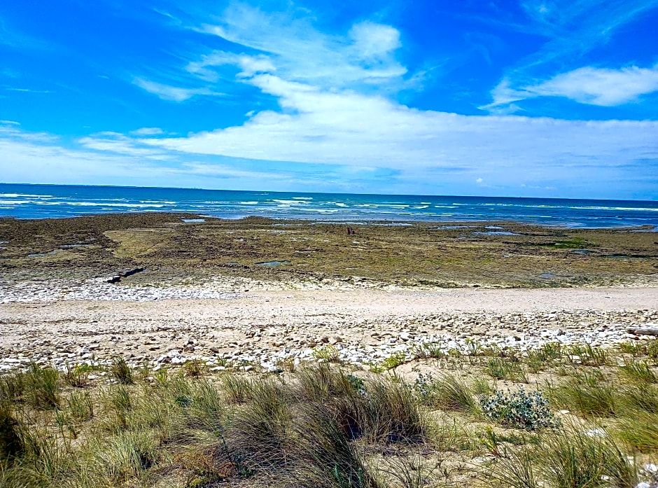 Les Bois Flottés en Ré