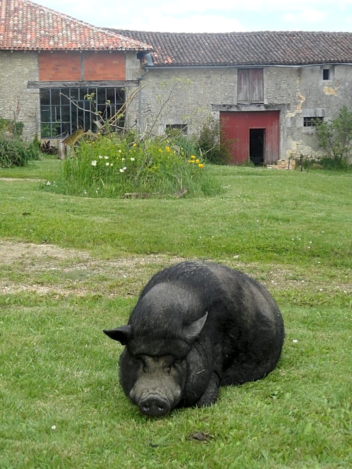 Eco Logis de Chantegrolle