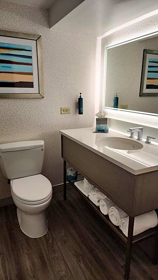 Hilton Durham Near Duke University