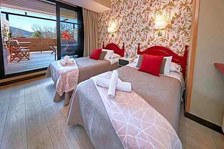 Double or Twin Room with Terrace