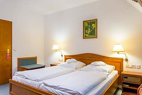Standard  Double Room
