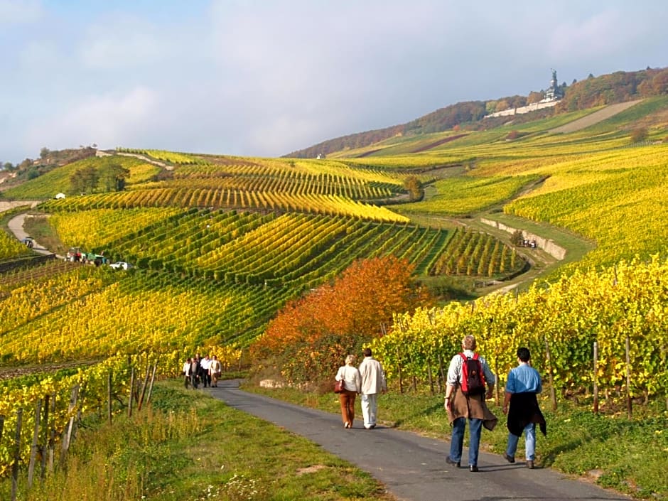 Weinhotel des Riesling Zum Grünen Kranz